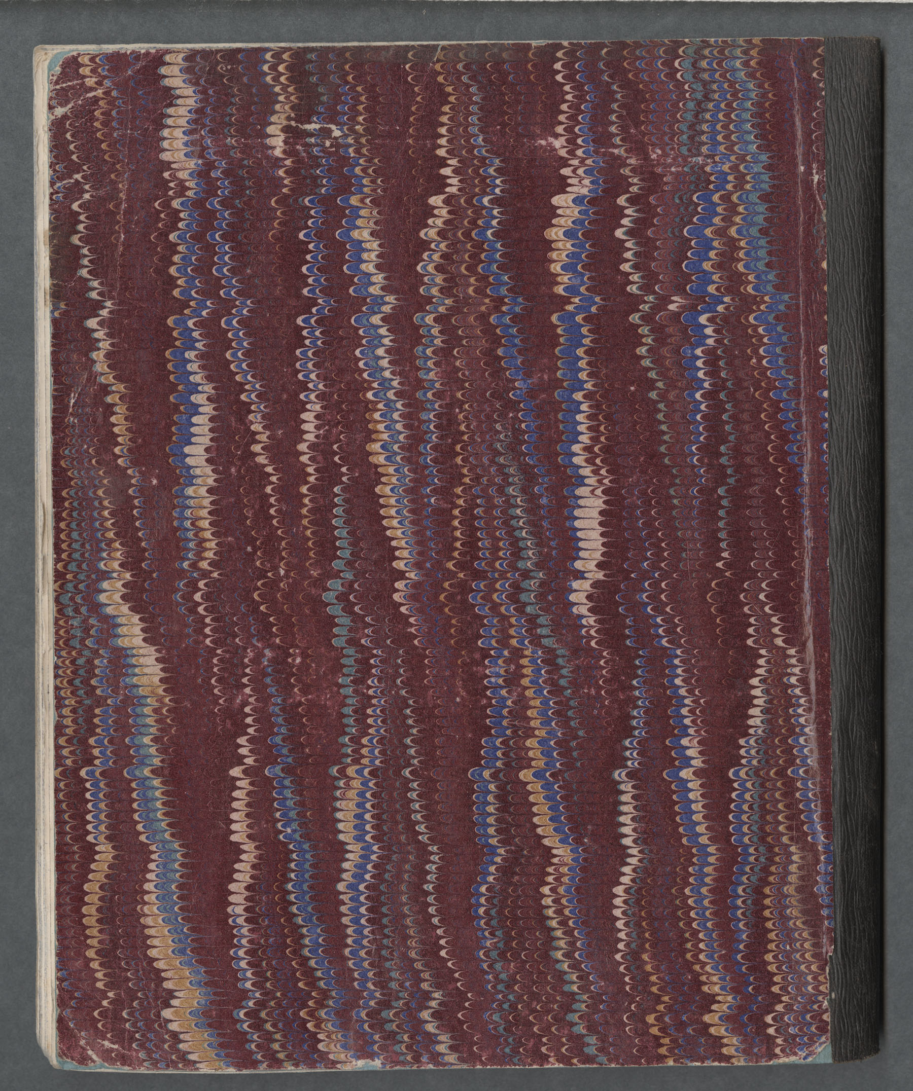 Ruth Martin Carvill's 1902 Journal - BACK COVER