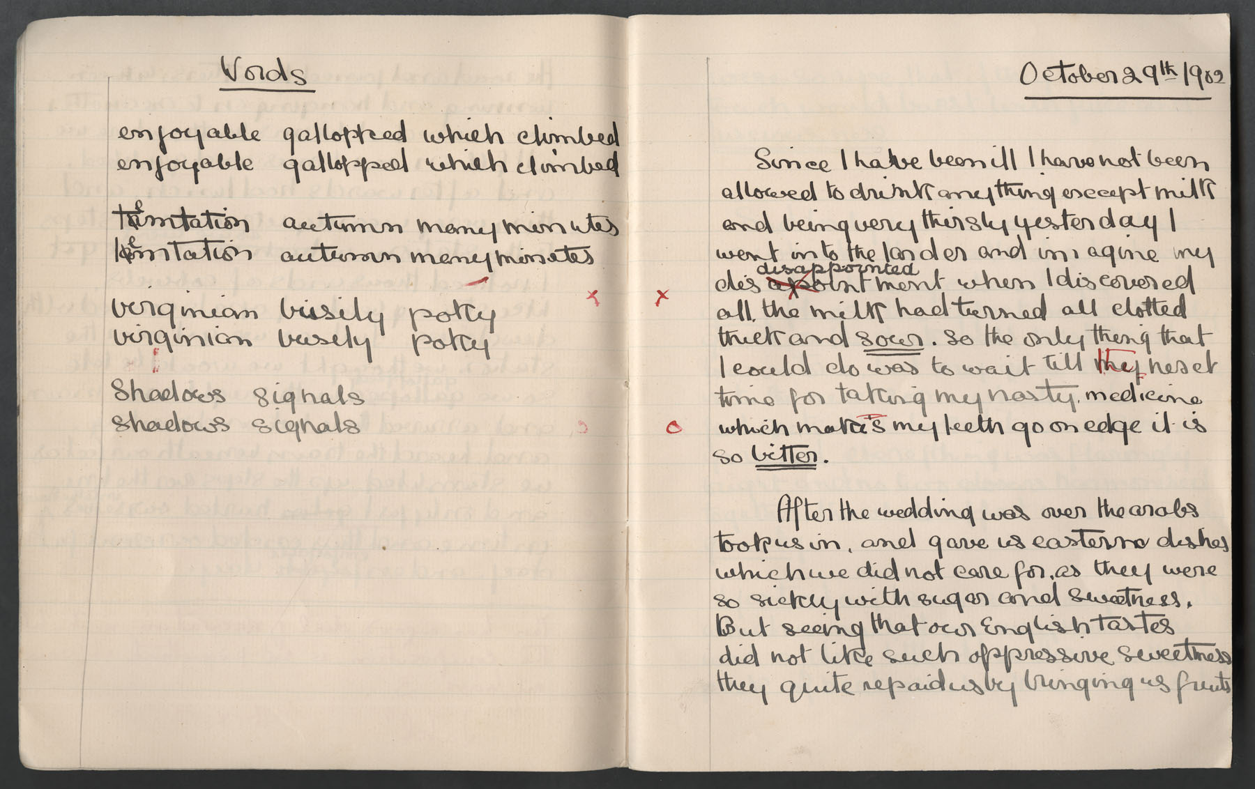 Ruth Martin Carvill's 1902 Composition book, entry for 29 Oct 1902, page 1 of 4