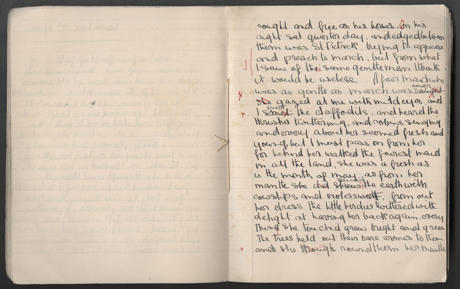 Ruth Martin Carvill's 1902 Composition book, entry for 19 Nov 1902, page 2 of 3