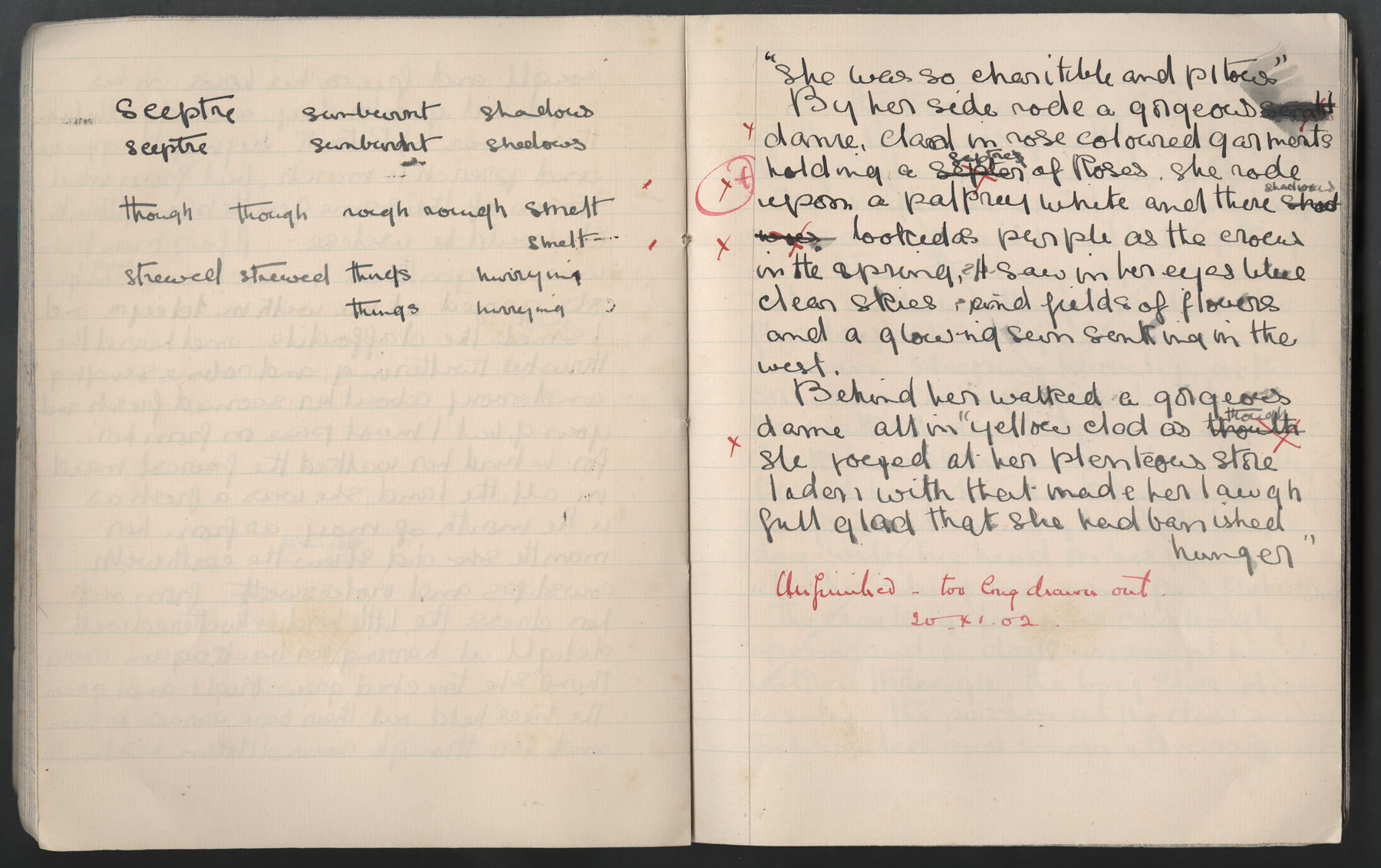 Ruth Martin Carvill's 1902 Composition book, entry for 19 Nov 1902, page 3 of 3