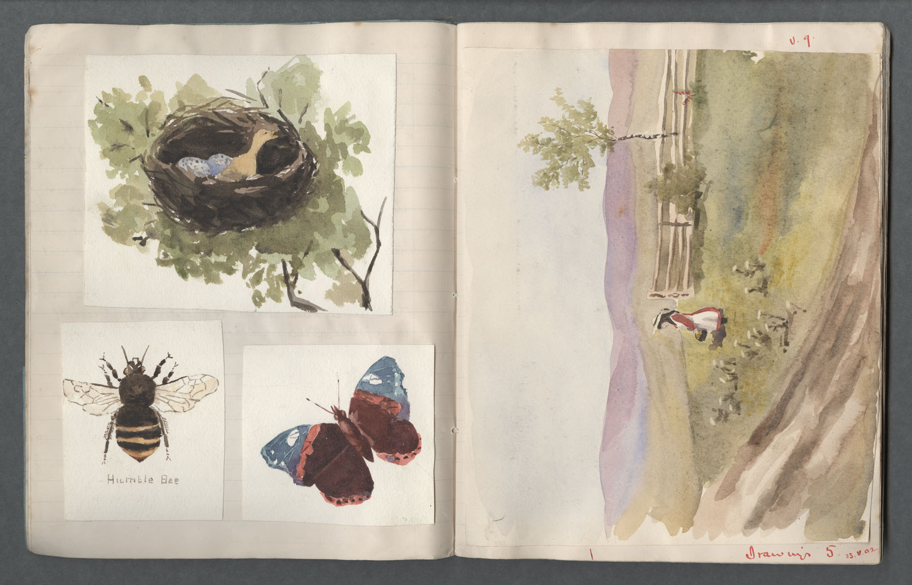 Ruth Martin Carvill-s early 1902 Composition book - 4 watercolors - dated 23 May 1902