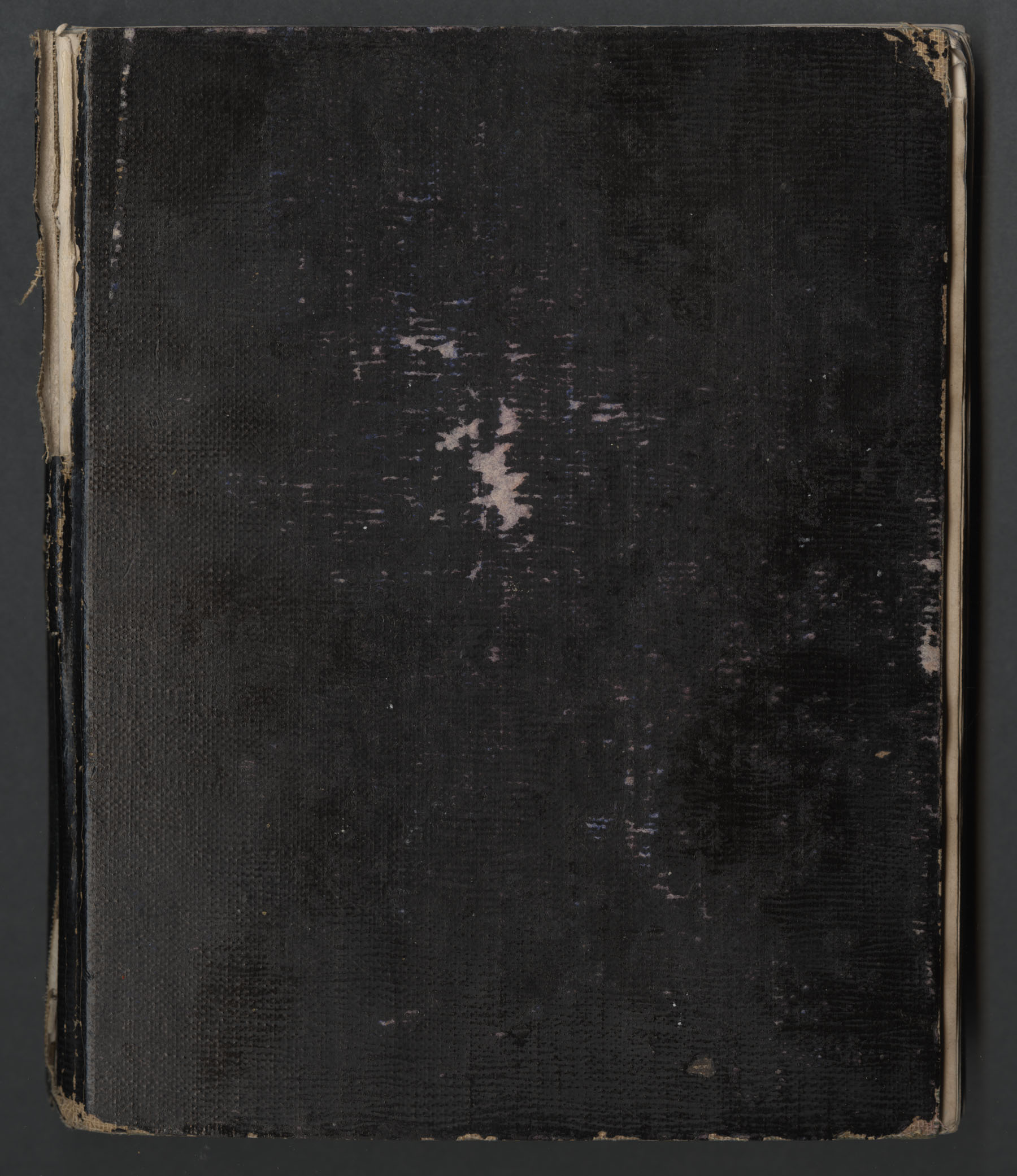 Ruth Martin Carvill's mid-1902 Journal.  FRONT COVER