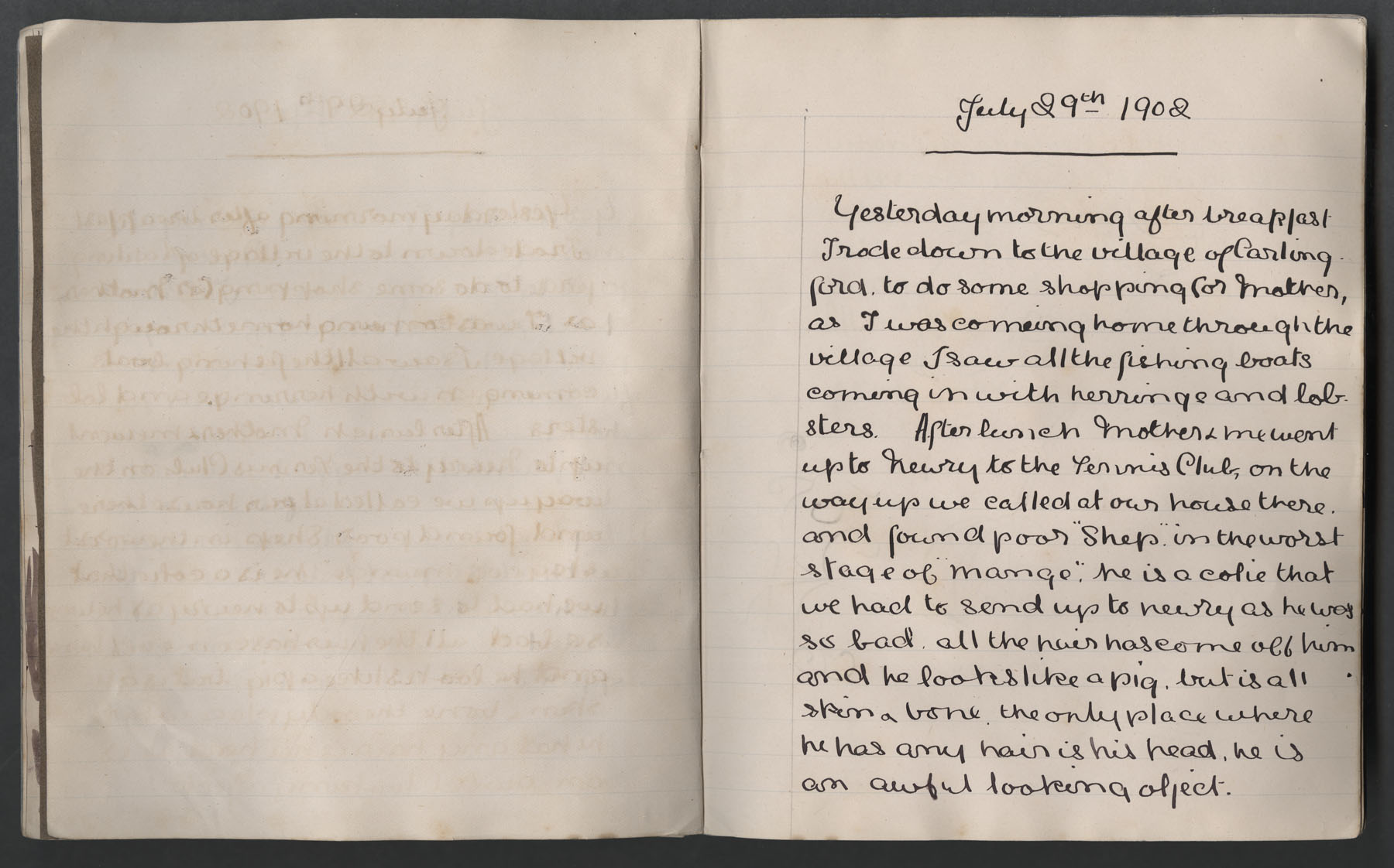 Ruth Martin Carvill's mid-1902 Journal, dated July 29th, 1902, page 1 of 2