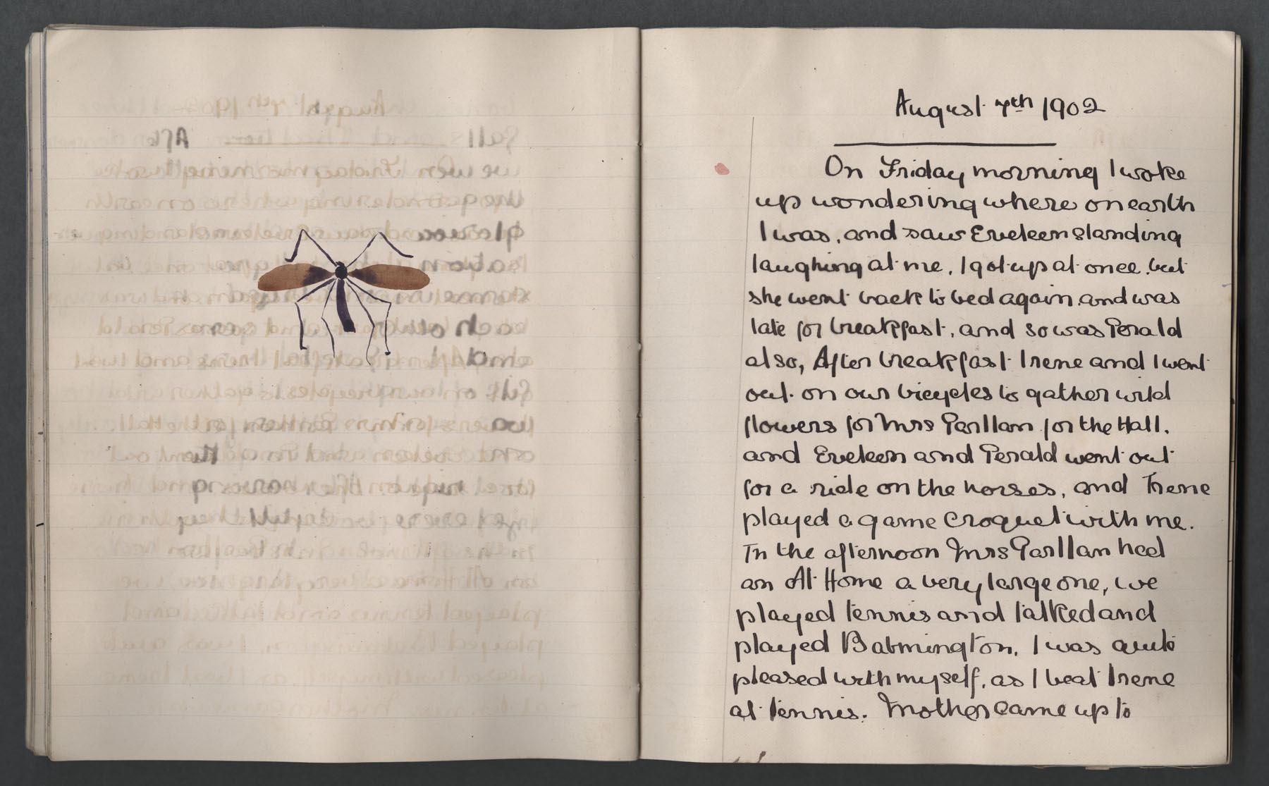 Left page has watercolour of what seems to be a dragon fly. Right page: 'On Friday morning I woke up wondering where on earth I was'. 'to gather wild flowers for Mrs Garillan', 'I beat Irene at tennis'.