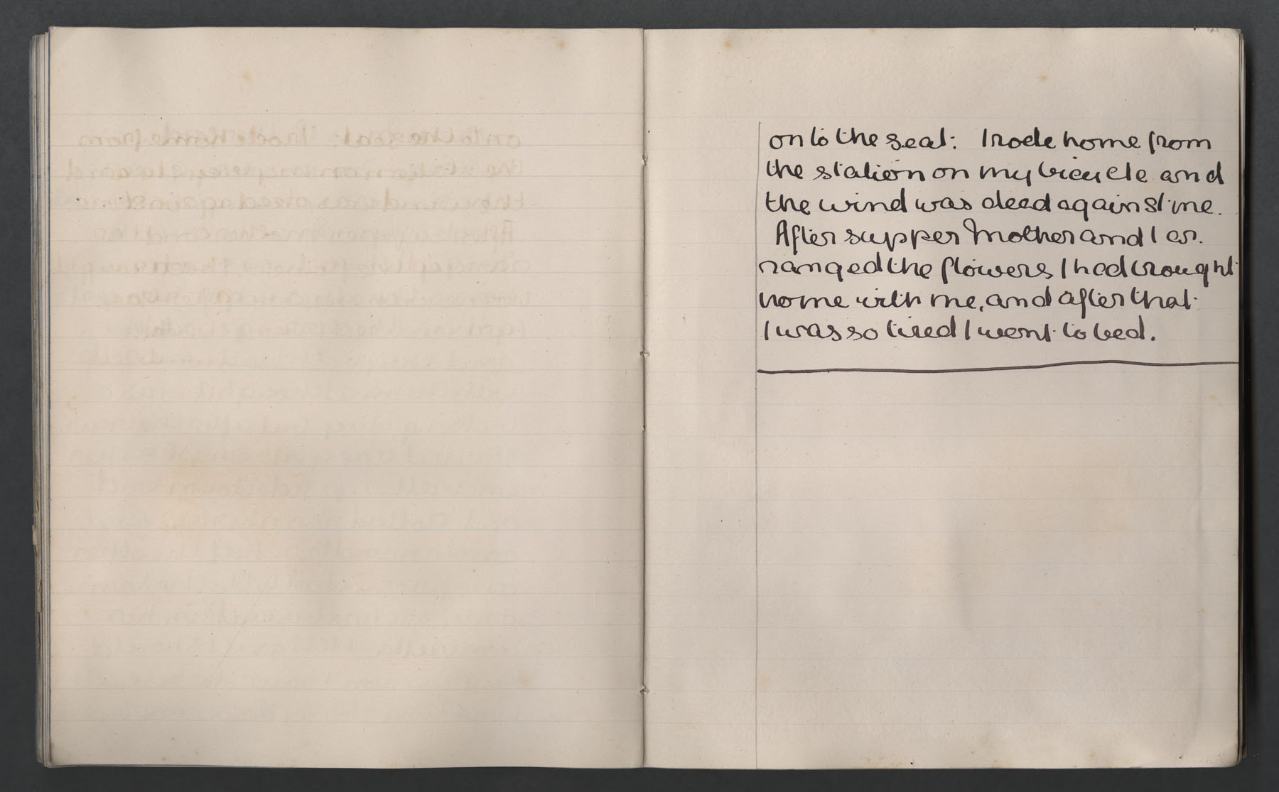 Ruth Martin Carvill's late 1902 Journal, entry dated 25 Aug 1902, pg 4 of 4.