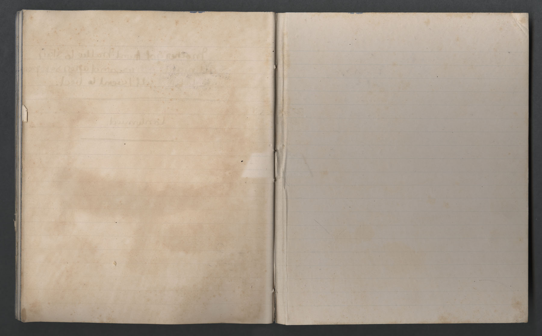 Ruth Martin Carvill's late 1902 Journal, BLANK PAGES