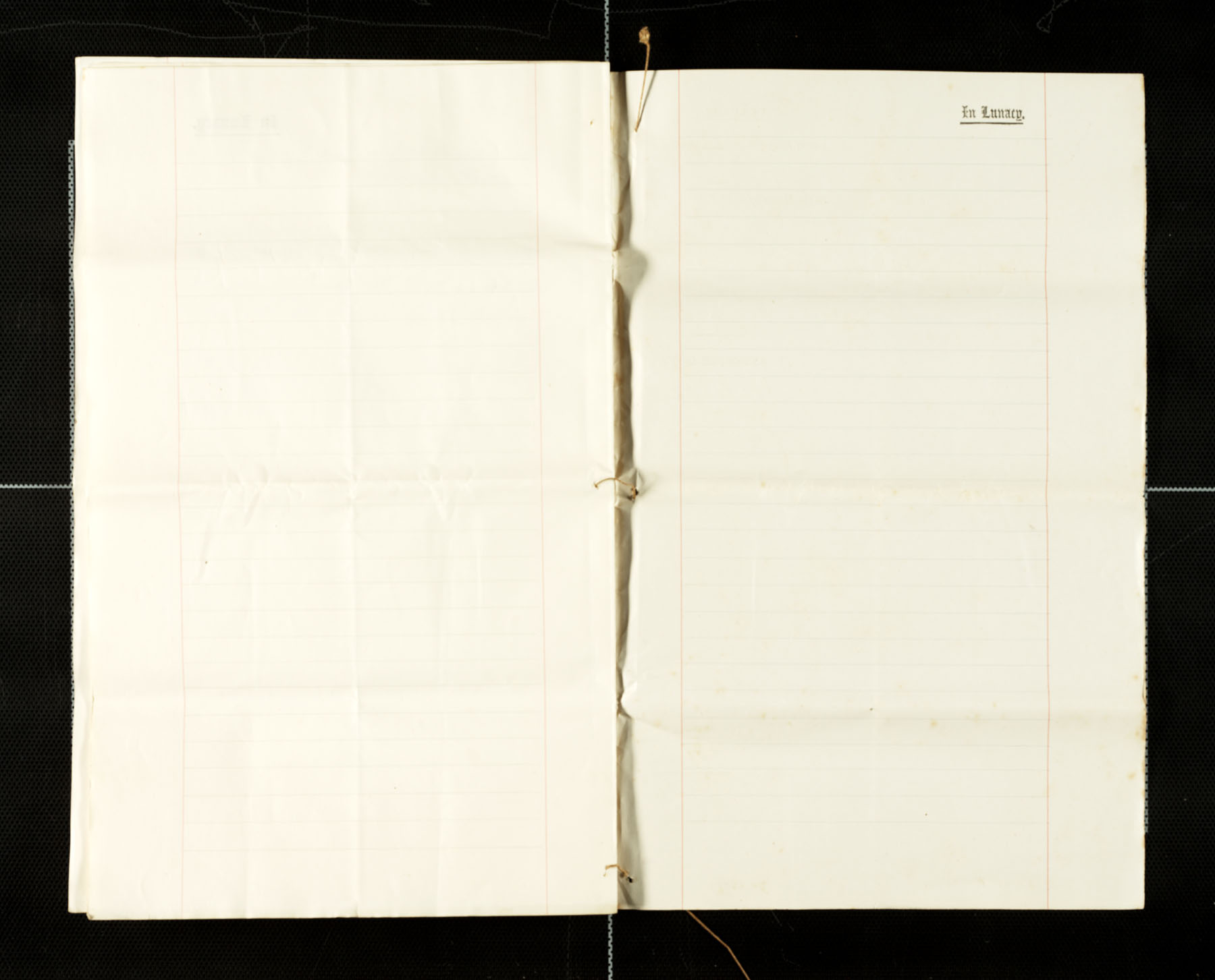 John Martin, a lunatic, Statement of Facts, 16 Sept 1890 - blank pages