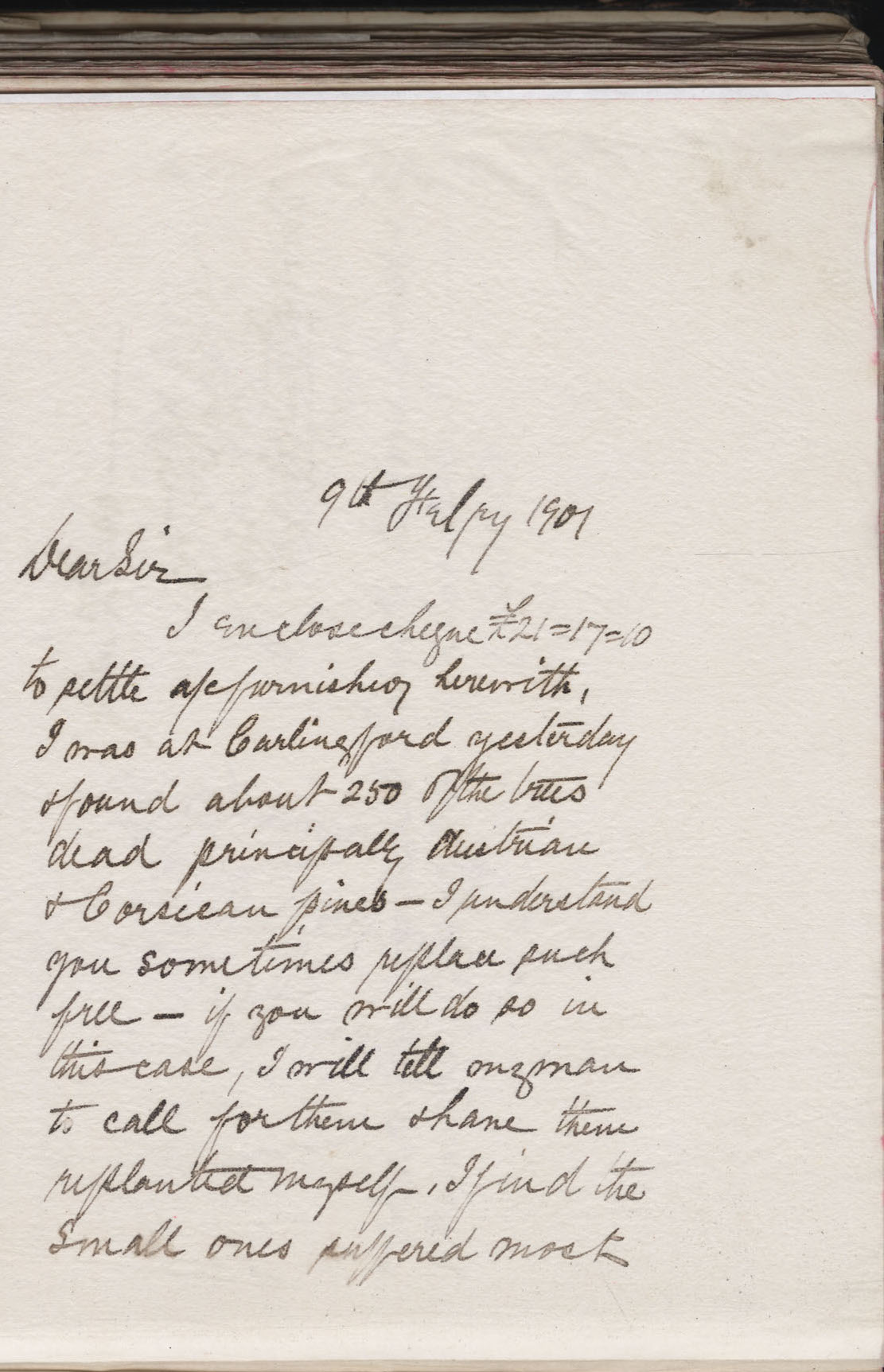 Carvill Letter Book, no page #, to Thomas Smith from John Carvill, dated 9 Feb 1901, p 1 of 2